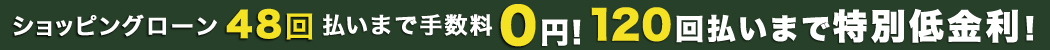 ショッピングローン最大48回払いまで無金利